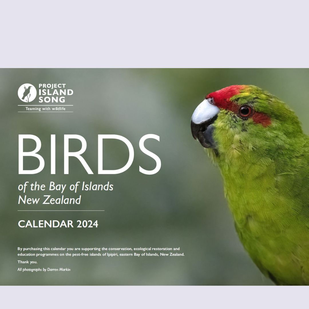 Birds Of The Bay Of Islands Calendar 2024 Project Island Song   Untitled Design 3 