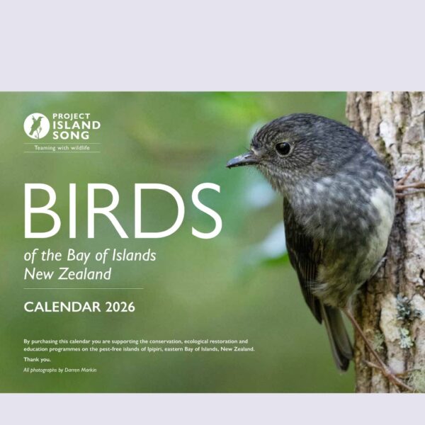 Birds of the Bay of Islands Calendar 2026