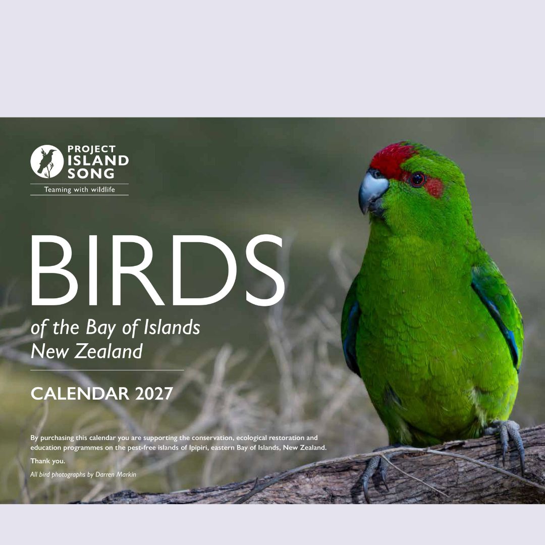 Birds of the Bay of Islands Calendar 2027